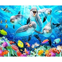 Delfin i flock  30x40cm