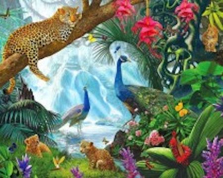 Djungel 40x50#