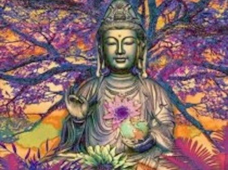Buddha 40x50 #