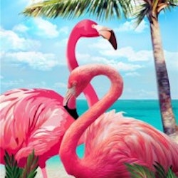 Flamingos 30x40cm #