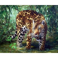 Leopard i buskage 25x34cm