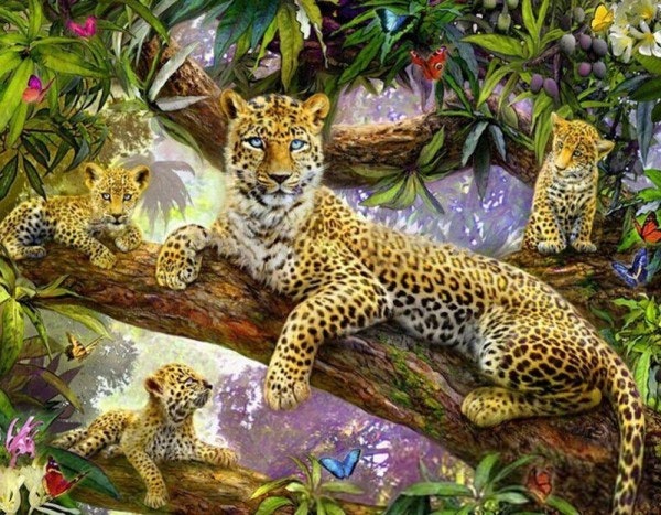 Leopard 40x50cm