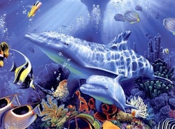 Delfiner i havet 40x50