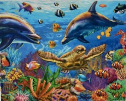 Delfin sköldpadda 25x34cm