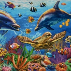 Delfin sköldpadda 25x34cm