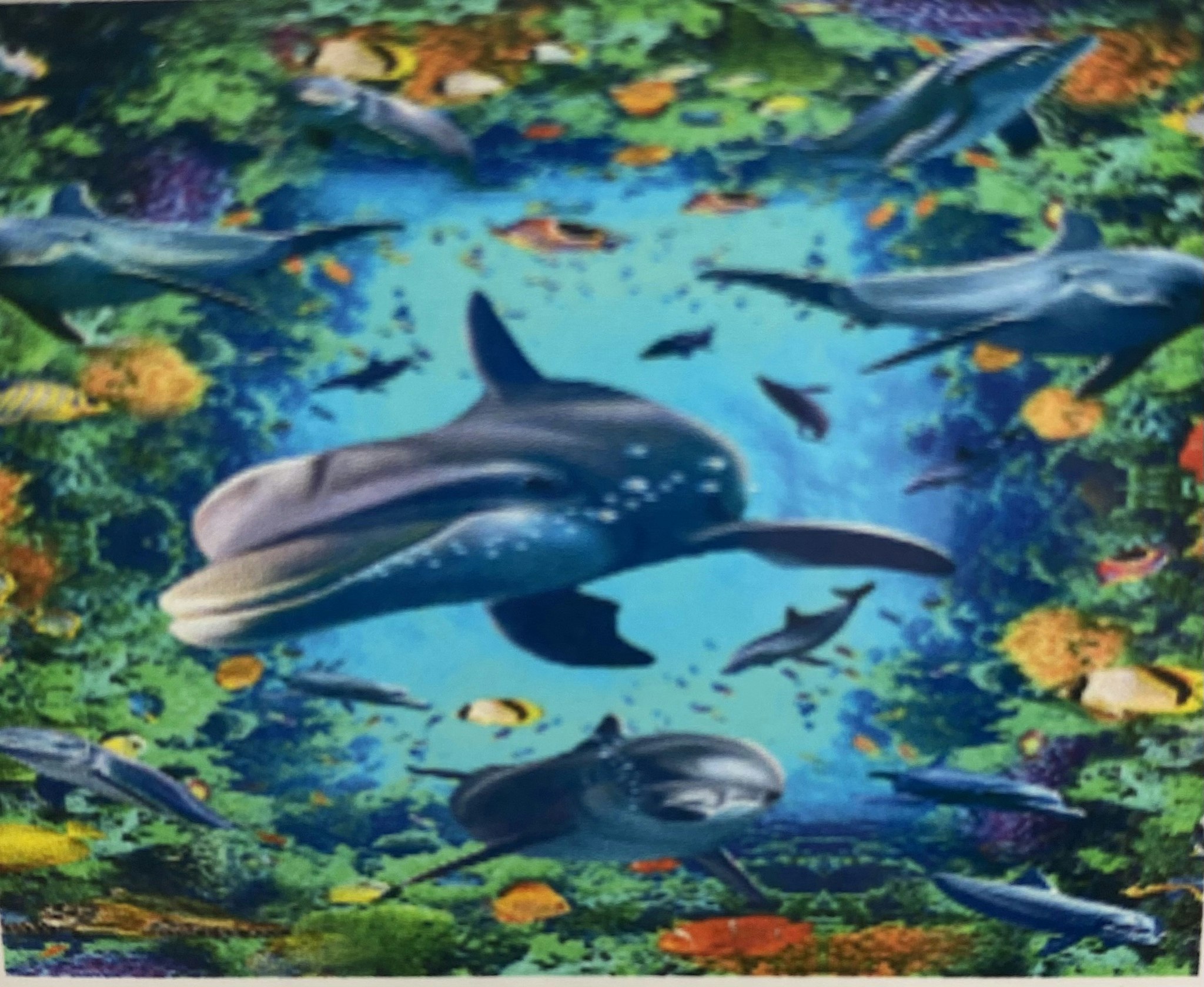 Delfinstim 25x34cm
