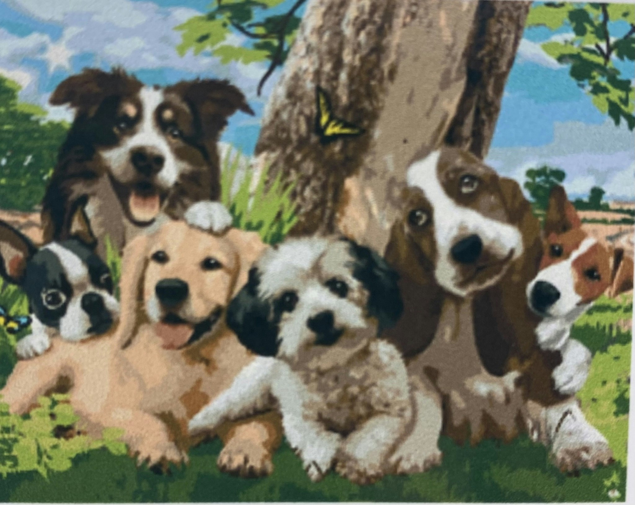 Hundporträtt 25x34cm
