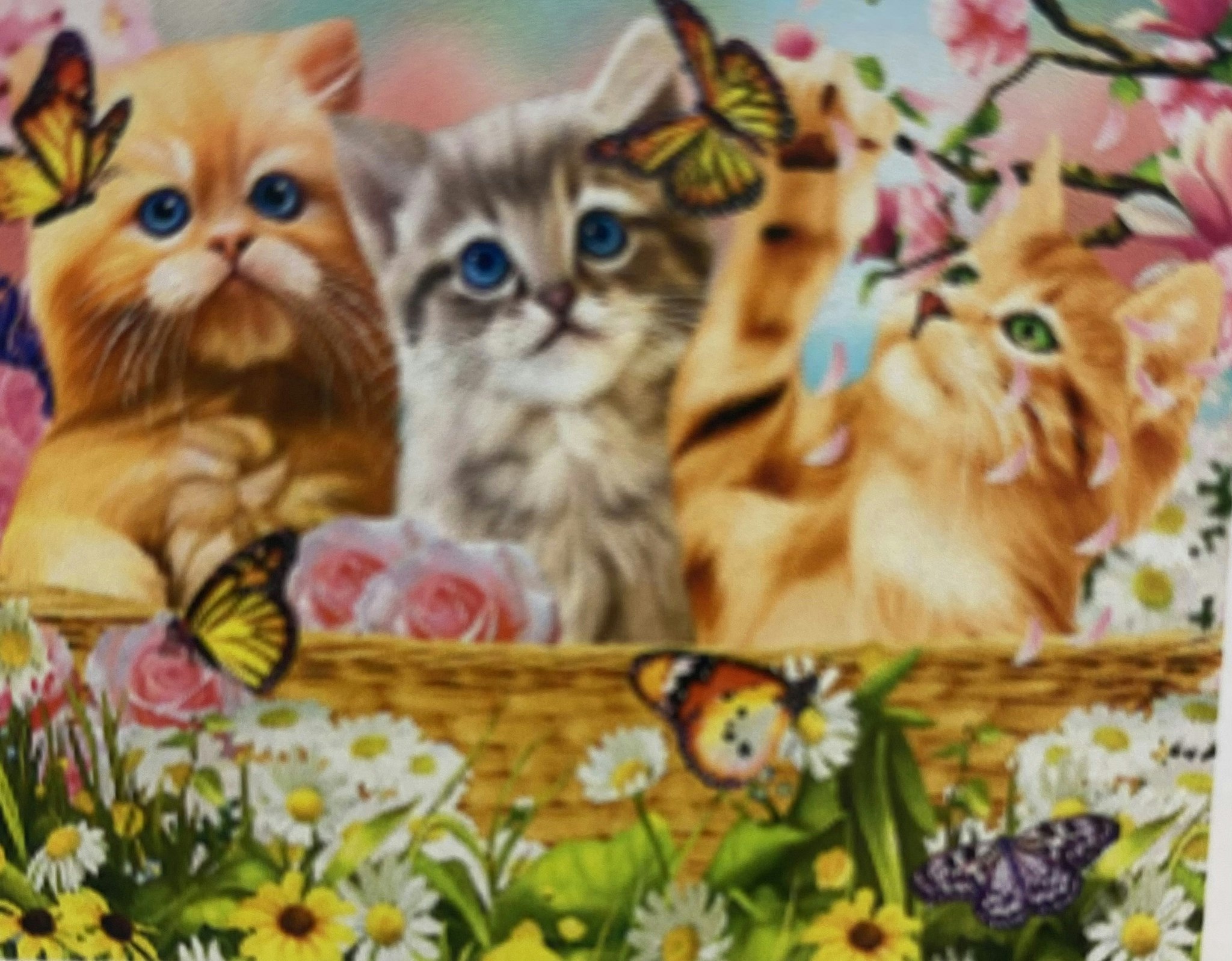 Katter i korg 25x34cm