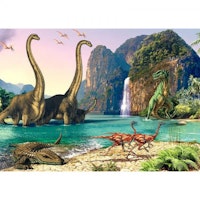 Dinosaurier Brontosaurer  40x50cm