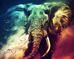 Colour Elefant  40x50cm