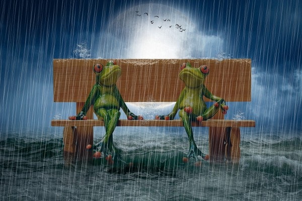 Grodor i regn 40x50cm