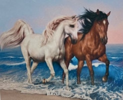 Hästar i strandbrynet 25x34cm