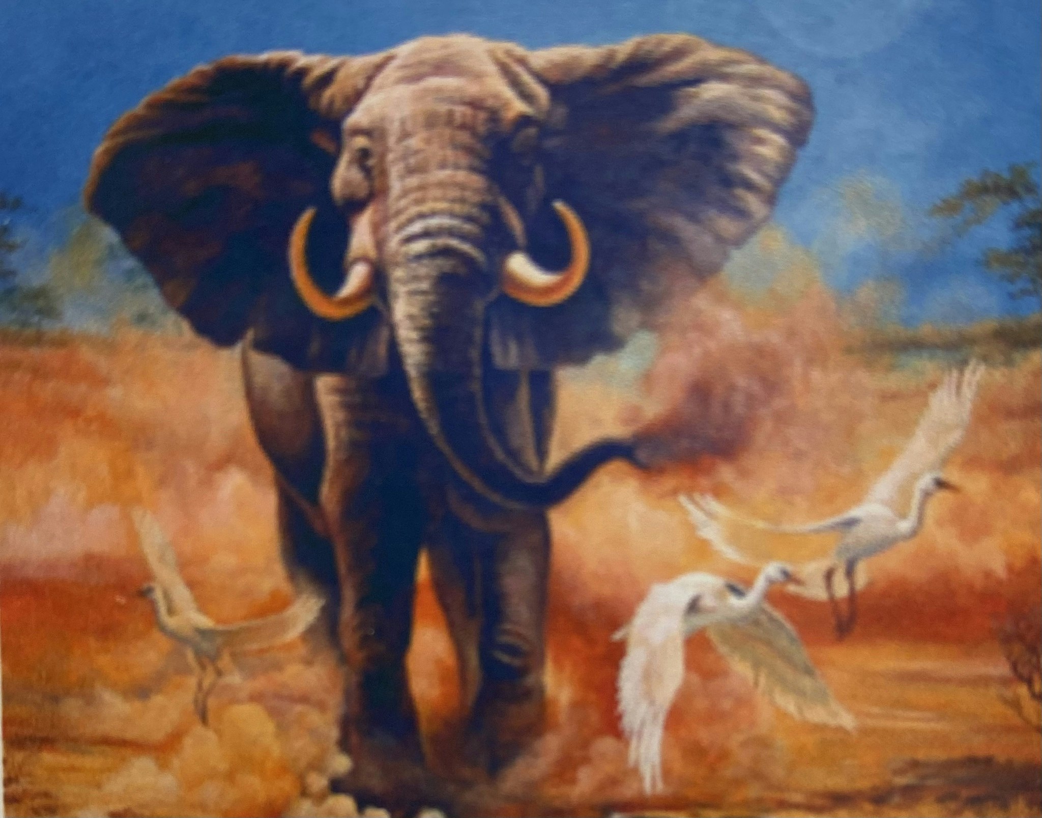 Elefant savann 25x34cm
