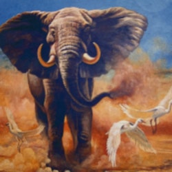 Elefant savann 25x34cm