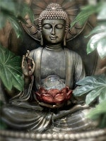 Buddha lotus 30x40cm