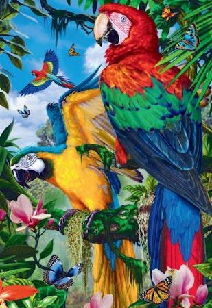 Papegojor 🦜 40x50 #