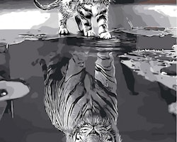 katt Tiger 40x50 PBN
