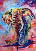 Elefant 40x50 #