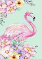 Flamingo 40x50 #