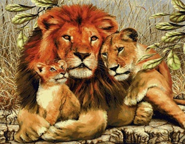 Lejon 20x30