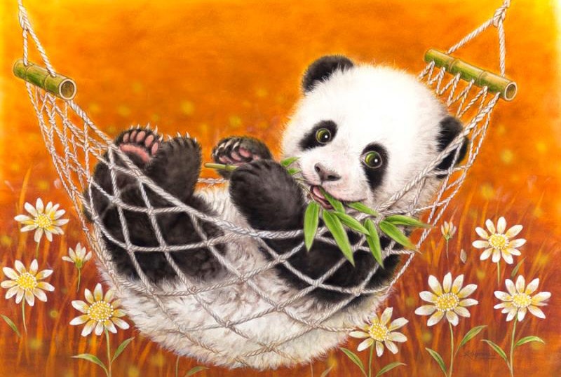 Panda 20x30