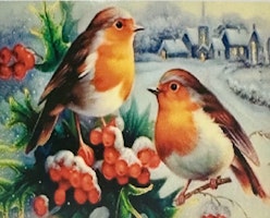 Fåglar 20x30