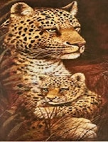Leopard 20x30