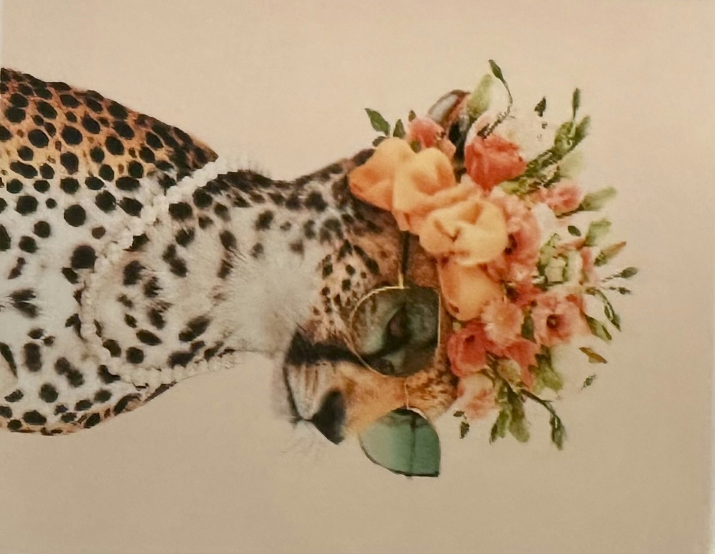 Leopard rosa 20x30