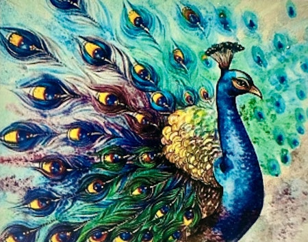Påfågel 30x40