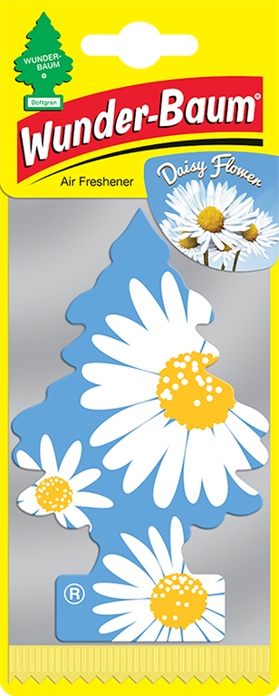 Wunder-Baum Daisy Flower