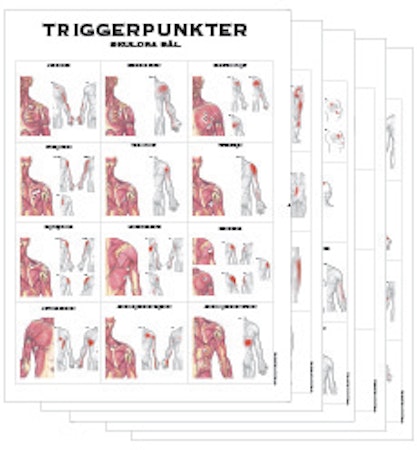 Triggerpunkter 50x70 cm, 5 planscher