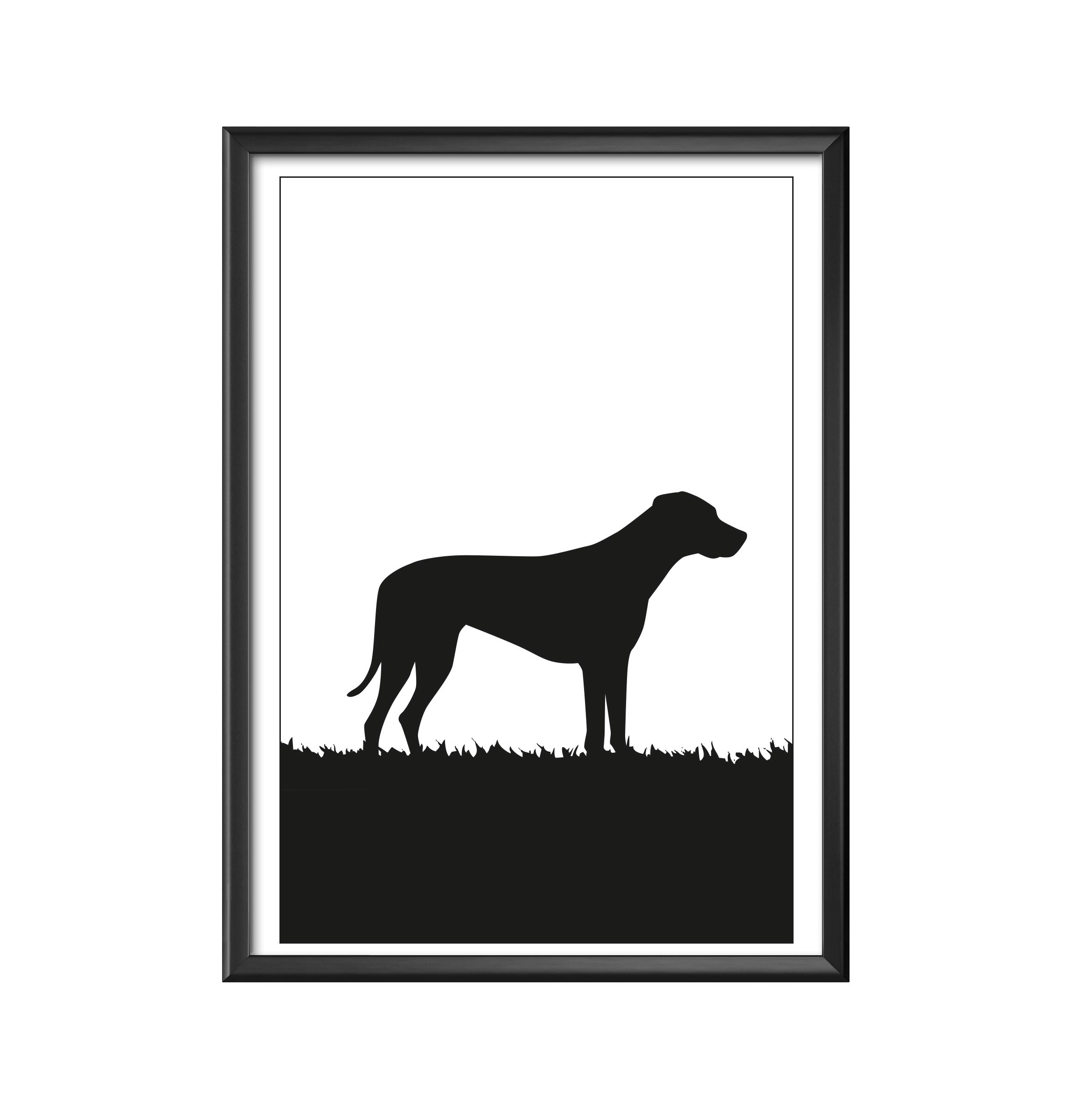 Affisch, print, poster av Rhodesian Ridgeback