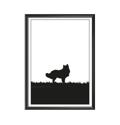 Affisch, print, poster av Rough Collie
