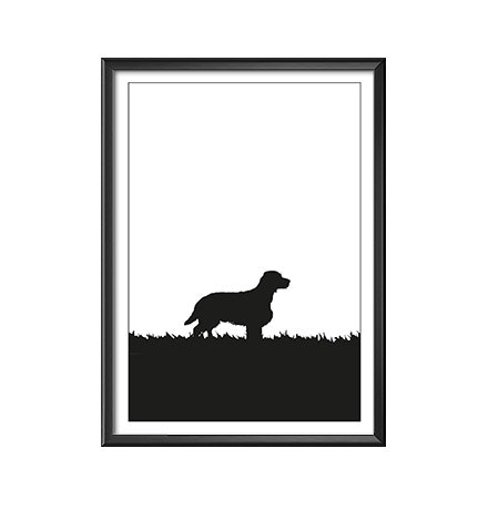 Affisch, print, poster av Welsh Springer Spaniel