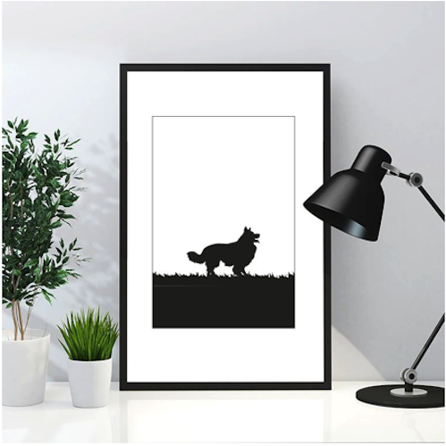 Border Collie poster 30x40 cm