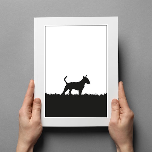 Bullterrier poster 30x40 cm