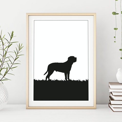 Cane Corso poster 30x40 cm