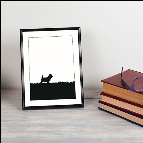 Cairnterrier poster 30x40 cm