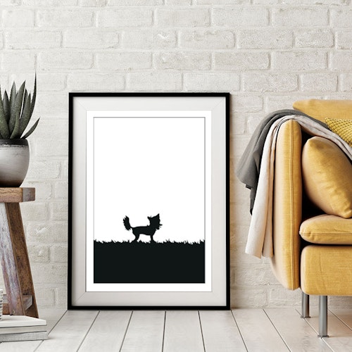 Chinese Crested Dog/nakenhund poster 30x40 cm