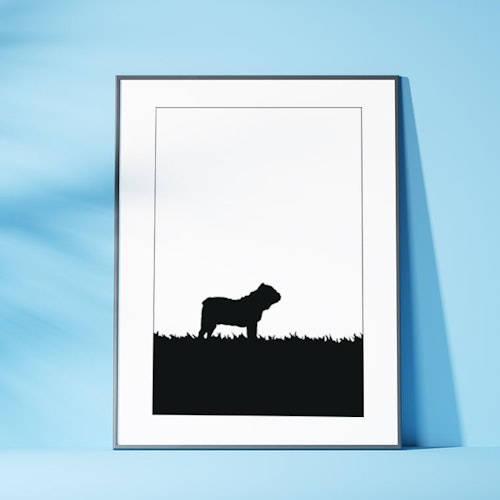 Engelsk Bulldog poster 30x40 cm