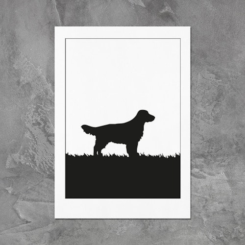 Field Spaniel poster 30x40 cm