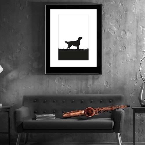 Flat Coated Retriever poster 30x40 cm