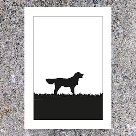Golden Retriever poster 30x40 cm