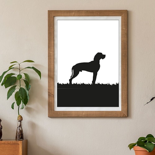 Grand Danois poster 30x40 cm