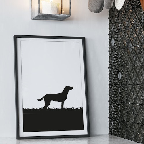 Jaktlabrador poster 30x40 cm