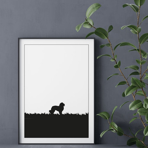 Malteser 30x40 cm