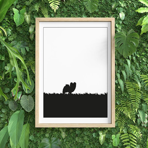 Papillon 30x40 cm