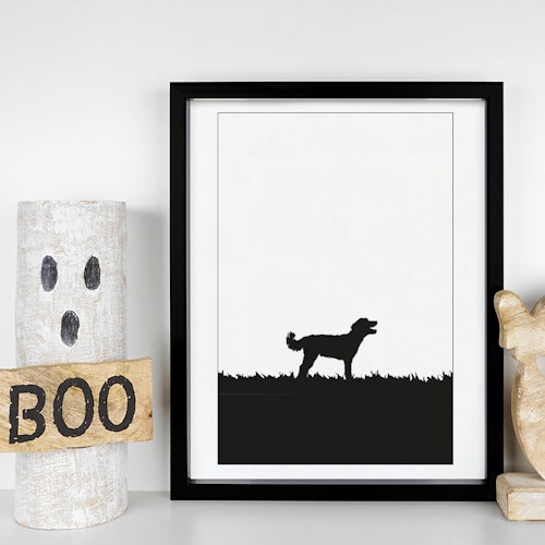 Pumi 30x40 cm
