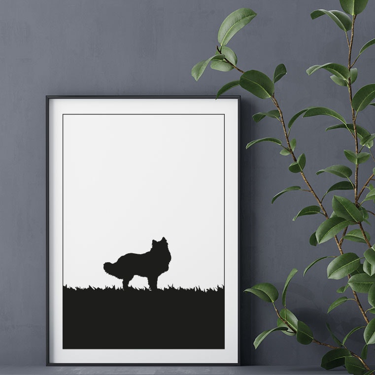 Rough Collie 30x40 cm