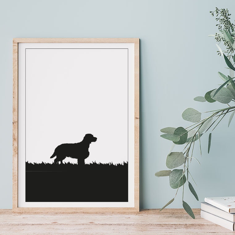 Springer Spaniel 30x40 cm